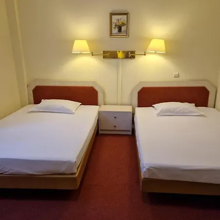 Casa Palace 3* Temesvár