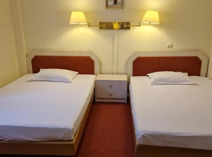 Casa Palace 3* Тимишоара